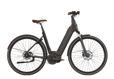 Our e bikes QWIC